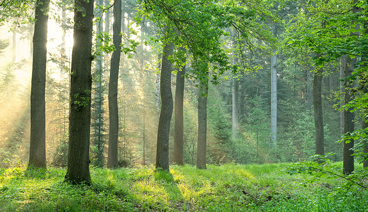 環境・品質方針
